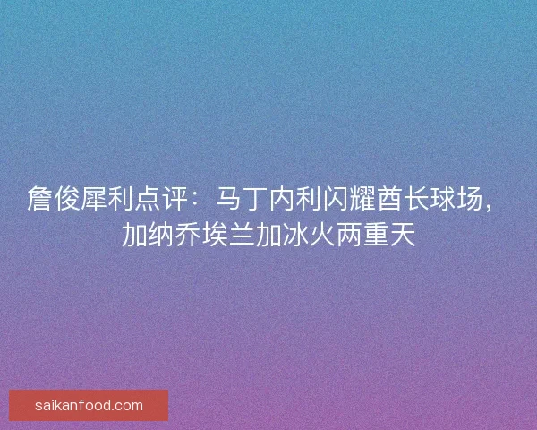 詹俊犀利点评：马丁内利闪耀酋长球场，加纳乔埃兰加冰火两重天
