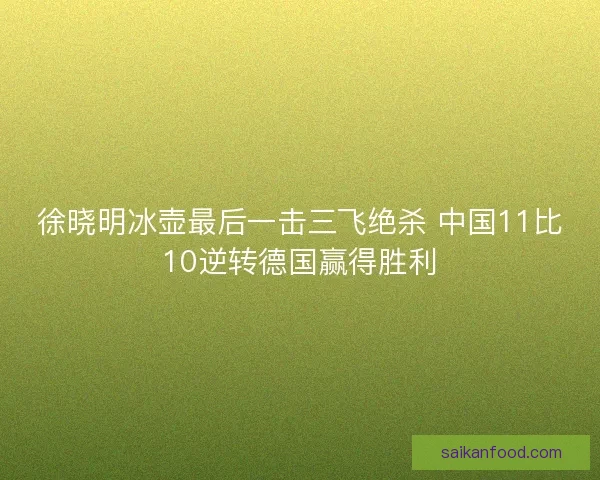 徐晓明冰壶最后一击三飞绝杀 中国11比10逆转德国赢得胜利 徐晓明冰壶最后一击三飞绝杀 中国11比10逆转德国赢得胜利