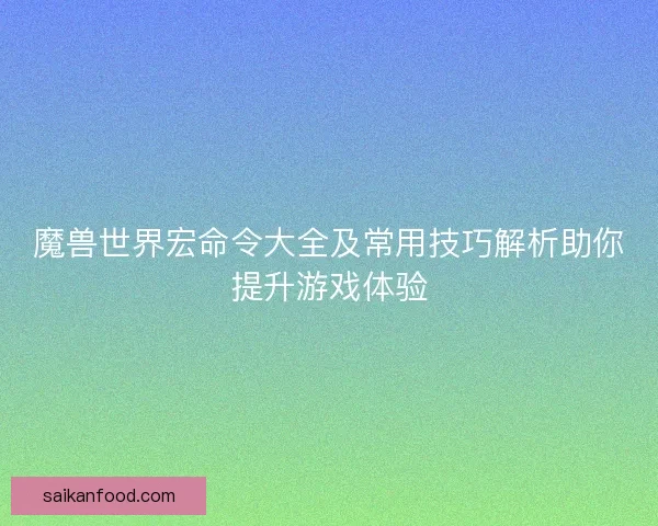 魔兽世界宏命令大全及常用技巧解析助你提升游戏体验