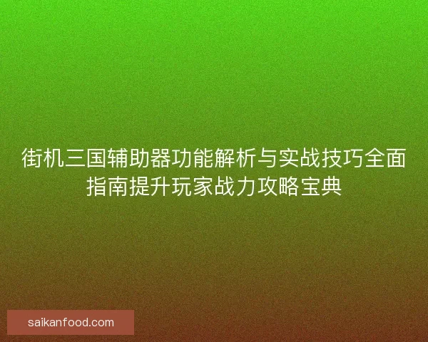 街机三国辅助器功能解析与实战技巧全面指南提升玩家战力攻略宝典
