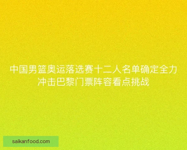 中国男篮奥运落选赛十二人名单确定全力冲击巴黎门票阵容看点挑战